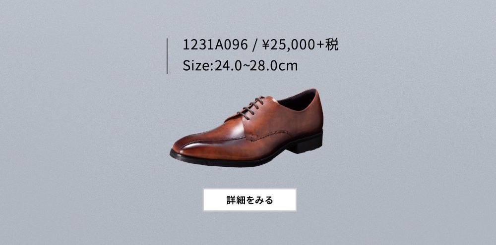 1231A096